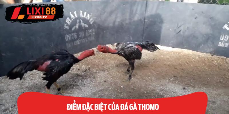 Điểm Đặc Biệt Của Đá gà Thomo